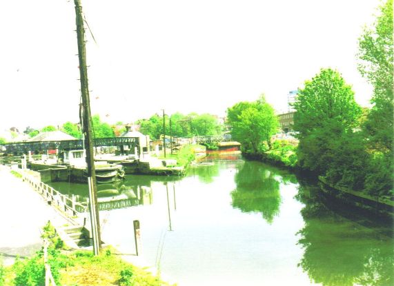 Lush greenery, watery scene